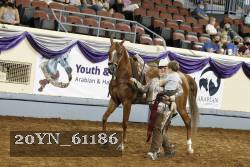 20YN_61186 thumbnail