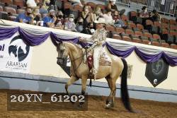 20YN_61202 thumbnail
