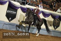 20YN_60811 thumbnail