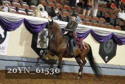 20YN_61530 thumbnail