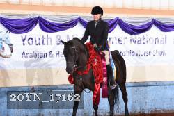 20YN_17162 thumbnail