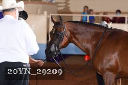 20YN_29209 thumbnail