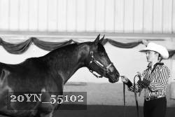 20YN_55102 thumbnail