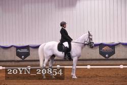 20YN_20854 thumbnail