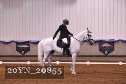 20YN_20855 thumbnail
