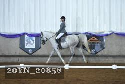 20YN_20858 thumbnail