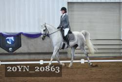 20YN_20863 thumbnail
