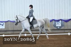 20YN_20865 thumbnail