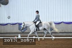 20YN_20871 thumbnail