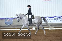 20YN_20930 thumbnail