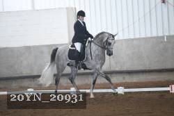 20YN_20931 thumbnail