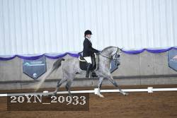 20YN_20933 thumbnail