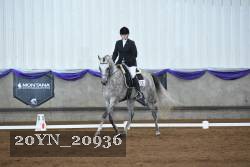 20YN_20936 thumbnail