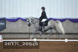 20YN_20946 thumbnail