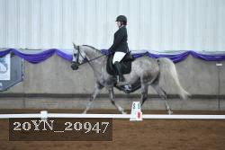 20YN_20947 thumbnail