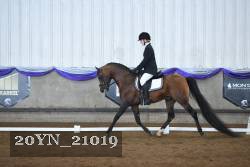 20YN_21019 thumbnail