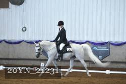 20YN_21231 thumbnail
