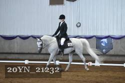 20YN_21232 thumbnail