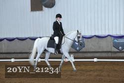 20YN_21234 thumbnail