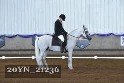 20YN_21236 thumbnail