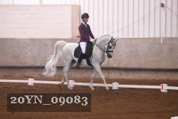 20YN_09083 thumbnail