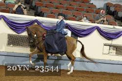 20YN_23544 thumbnail
