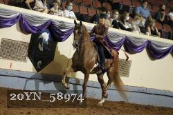 20YN_58974 thumbnail