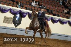 20YN_13839 thumbnail
