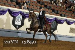 20YN_13850 thumbnail