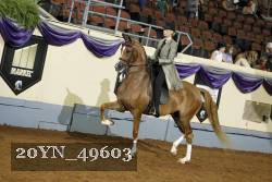 20YN_49603 thumbnail