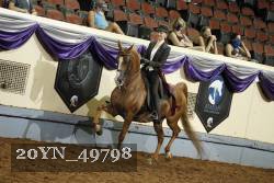 20YN_49798 thumbnail
