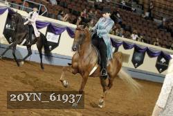 20YN_61937 thumbnail