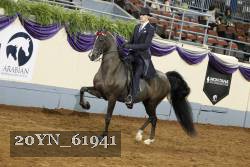 20YN_61941 thumbnail