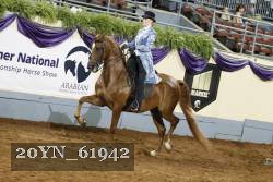 20YN_61942 thumbnail