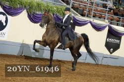 20YN_61946 thumbnail