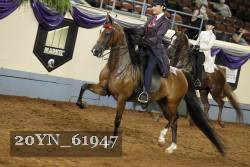 20YN_61947 thumbnail