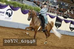 20YN_61948 thumbnail