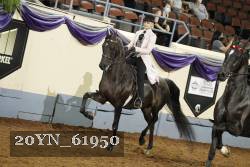 20YN_61950 thumbnail