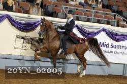 20YN_62005 thumbnail