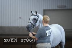 20YN_27869 thumbnail