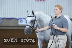 20YN_27874 thumbnail