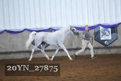 20YN_27875 thumbnail