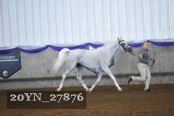 20YN_27876 thumbnail