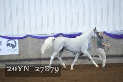 20YN_27879 thumbnail