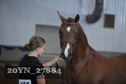 20YN_27884 thumbnail