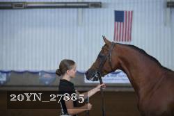 20YN_27885 thumbnail
