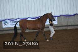20YN_27886 thumbnail