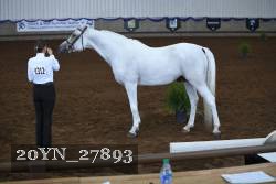 20YN_27893 thumbnail