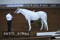20YN_27894 thumbnail