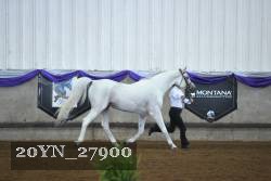 20YN_27900 thumbnail